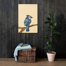 Blue Jay Illustration Canvas Print