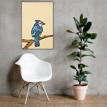Blue Jay Illustration Canvas Print