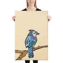 Blue Jay Illustration Canvas Print